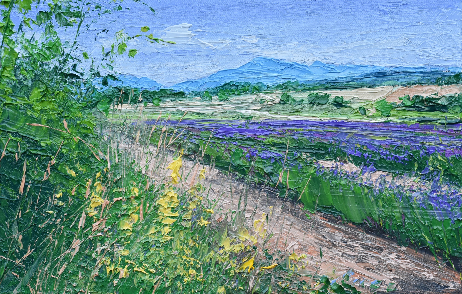 Lavender, Provence