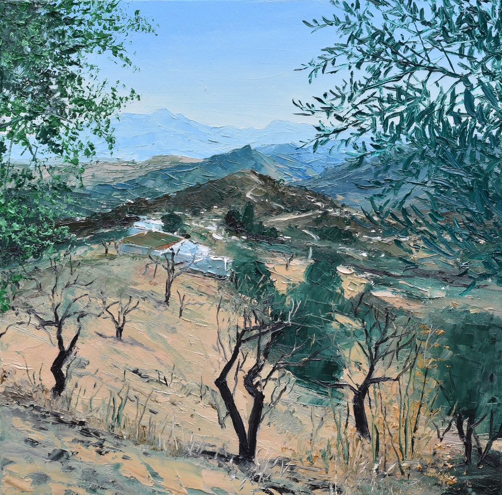 Almond Trees, Mountains of Malaga